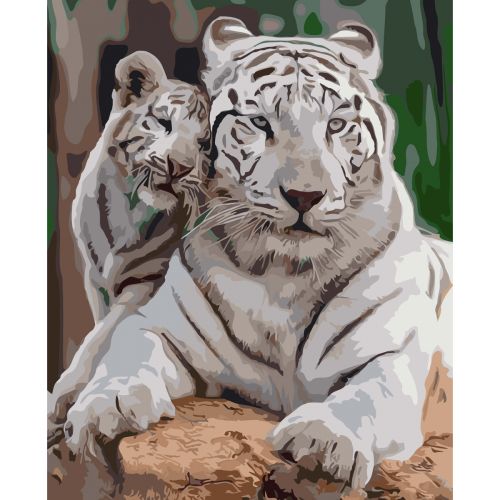 Картина за номерами "Білі тигри" фото