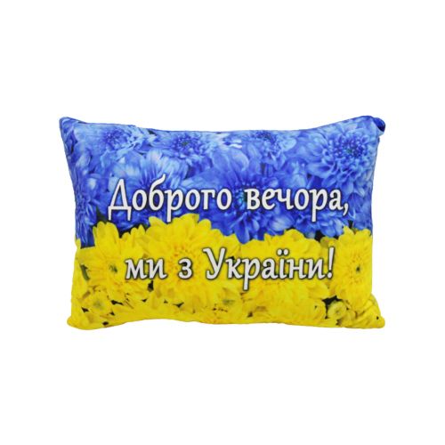 Подушка з принтом №1 (40см) картинка Подушка з принтом №1 (40см) фото