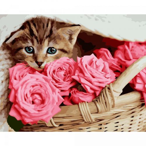 Картина по номерам "Котенок в розах" фото