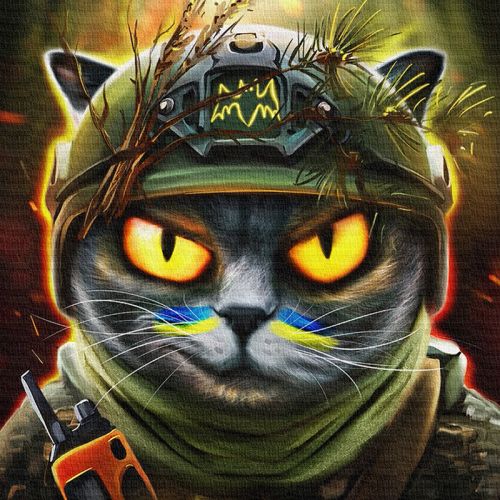 Картина "Котик розвідник ©Маріанна Пащук" картинка Картина "Котик розвідник ©Маріанна Пащук" фото