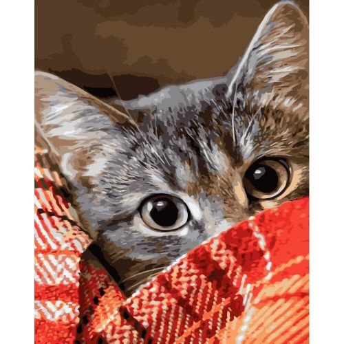 Картина за номерами "Котик під ковдрою" фото