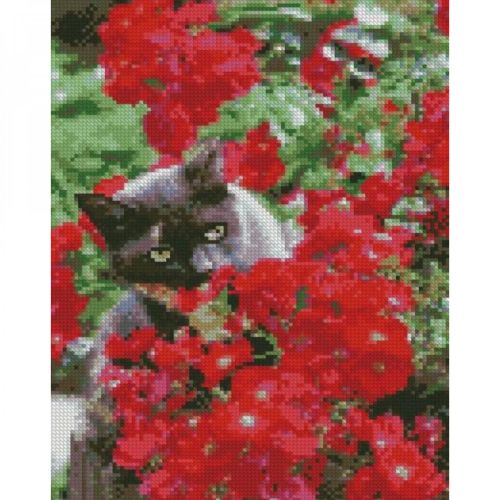 Алмазна мозаїка "Котик у червоних квітах" 30х40 см фото