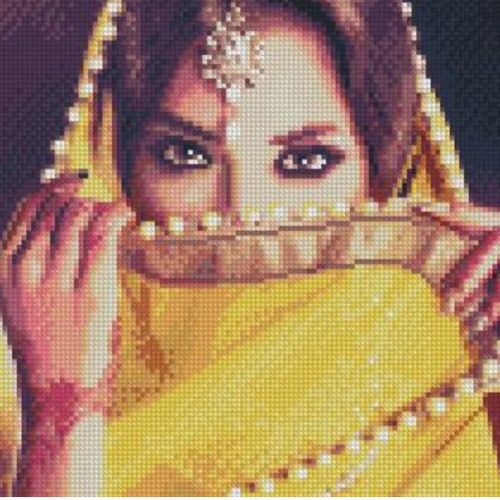 Алмазная мозаика "Индийская красота" 30х30 см фото