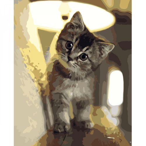 Картина по номерам "Маленький котик" ★★★★ картинка Картина по номерам "Маленький котик" ★★★★ фото