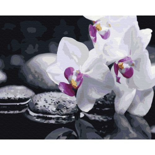 Картина за номерами "Квіти дзену" ★ фото