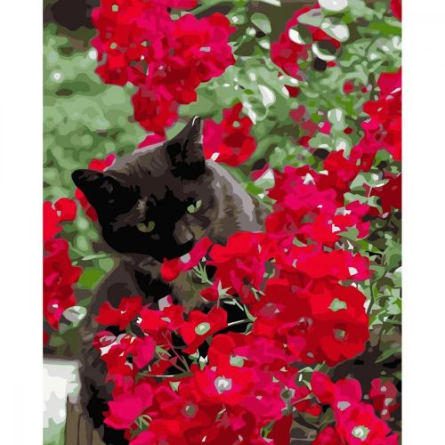 Картина по номерам "Котик в красных цветах"  ★★★★★ фото