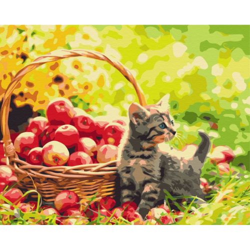 Картина по номерам "Яблочный котик" ★★★ фото