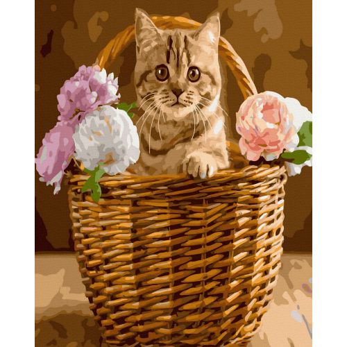 Картина за номерами "Котик у корзині" ★★★ фото