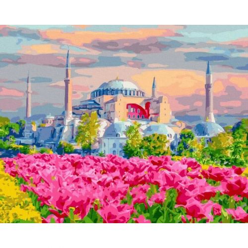 Картина по номерам "Стамбульские цветущие поля" ★★★ фото