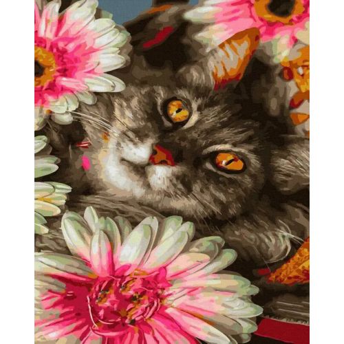 Картина по номерам "Кот в цветах" 40х50 см фото