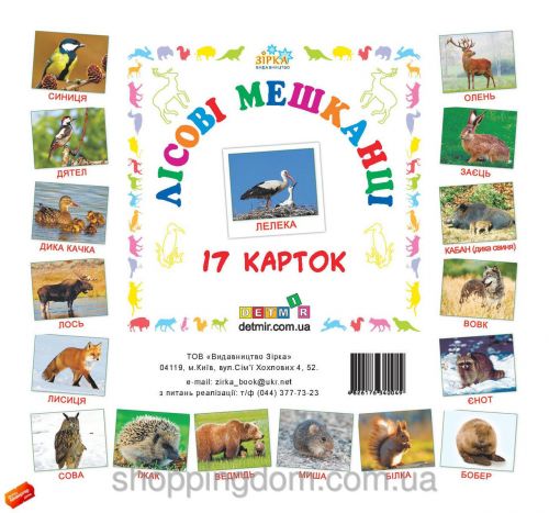 Картки міні Лісові мешканці (110х110 мм)  мініатюра фото 1