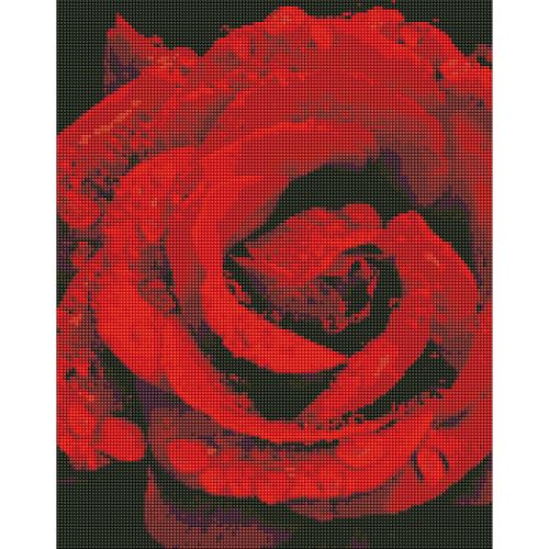 Алмазна мозаїка "Троянда в діамантах" 40х50 см фото