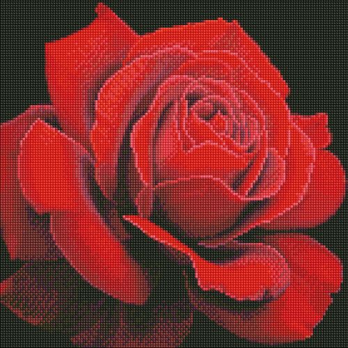 Алмазная мозаика "Красная роза" 40х40 см фото