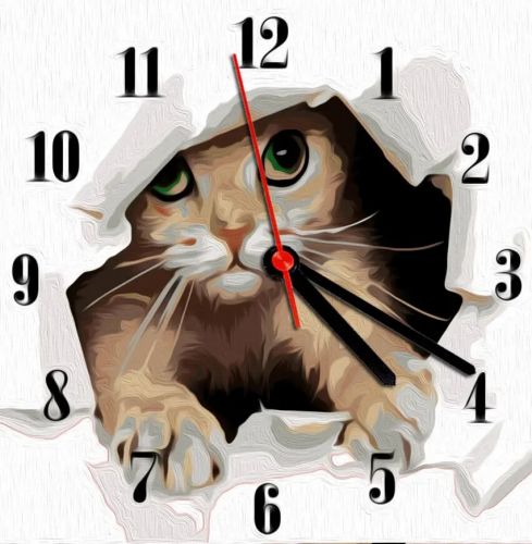 Часы-картина по номерам "Котик", 30х30 см фото