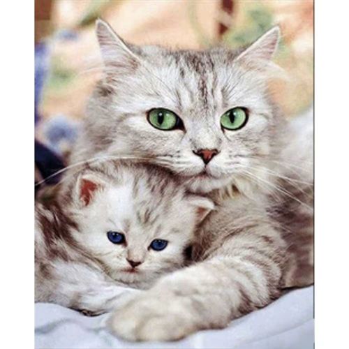Алмазная мозаика "Мама кошка" 40х50 см фото
