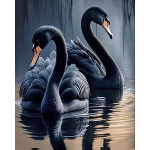 Алмазная мозаика "Черные лебеди" 40х50 см фото