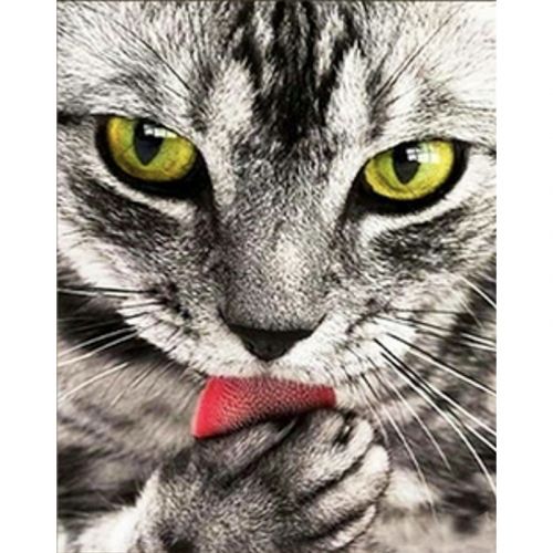 Алмазна мозаїка "Сіренький котик" 30х40 см фото