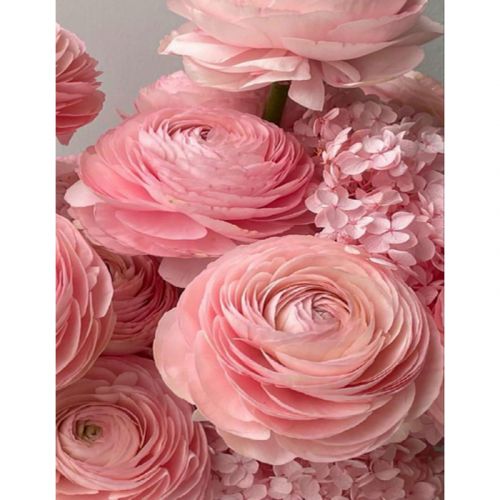 Алмазная мозаика, на рейках "Розовые цветы" 40х50 см фото