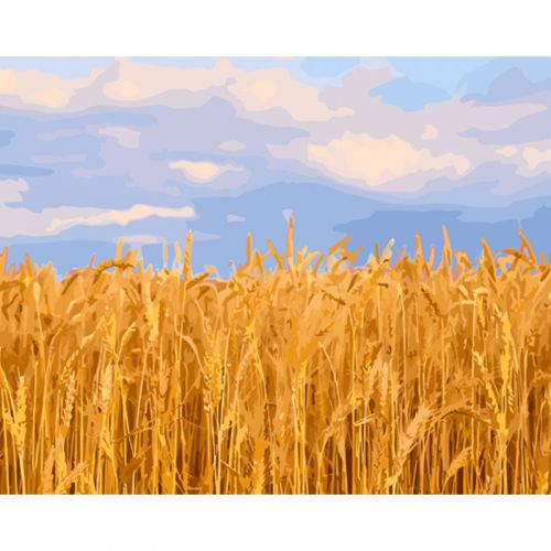 Картина за номерами "Пшеничне поле" ★★★ фото