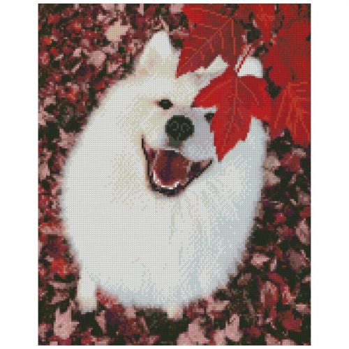 Алмазна мозаїка "Білий пес" 40х50 см фото
