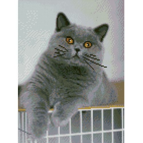 Алмазна мозаїка "Цікавий котик" 30х40 см фото