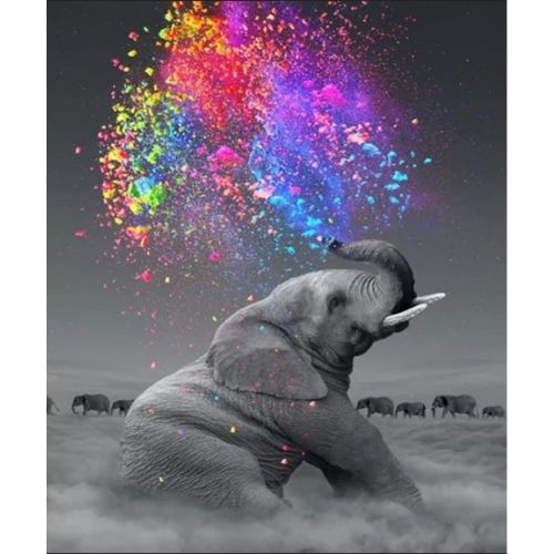 Картина по номерах "Грайливий слон" 40x50 см фото