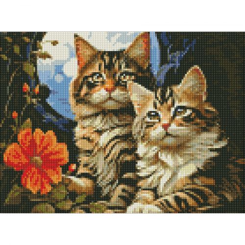 Алмазна мозаїка "Чарівні котики" 30х40 см фото