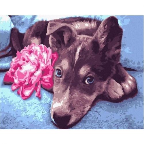 Картина по номерам "Пес с цветком" 40х50 см фото