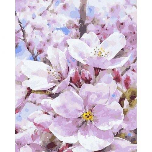 Картина за номерами "Квітуча яблуня" 40х50 см фото