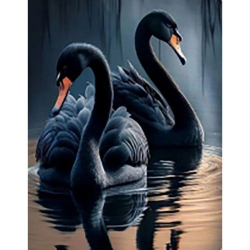 Алмазна мозаїка Чорні лебеді без підрамника розміром 40х50 см фото