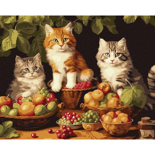 Картина за номерами "Котики і фрукти" 40х50 см фото