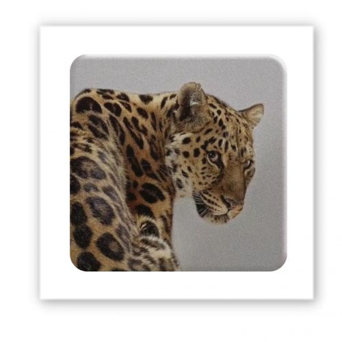 3D стикер "Wild cat" (цена за 1 шт) фото