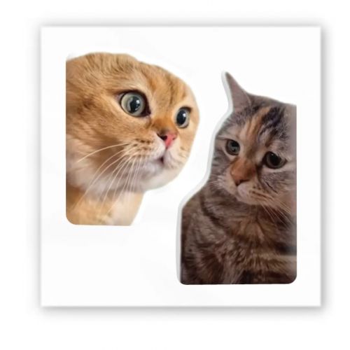 3D стікер "Мем: Коти" (ціна за 1 шт) фото