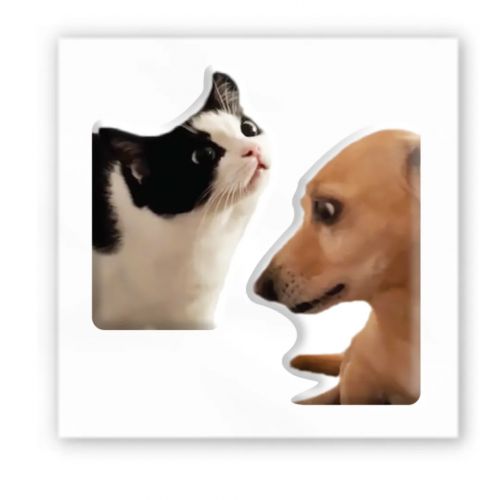 3D стікер "Мем: Пес і кіт" (ціна за 1 шт) фото