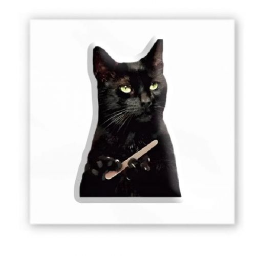 3D стикер "Мем: Черный кот" (цена за 1 шт) фото