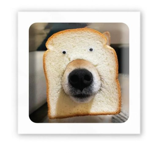 3D стікер "Хлібний пес" (ціна за 1 шт) фото