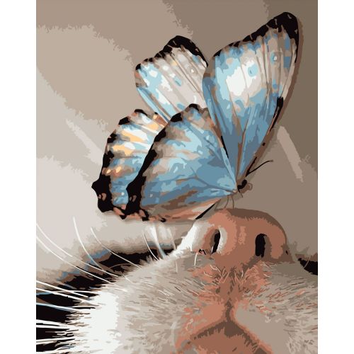 Набор для росписи по номерам "Бабочка на носике" 40х50 см фото