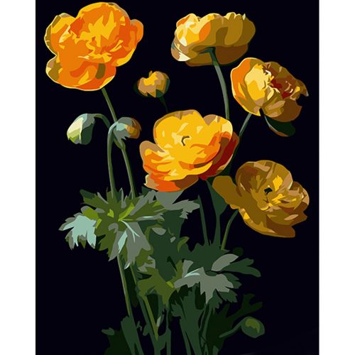 Картина за номерами на чорному фоні "Жовті квітки" 40х50 фото
