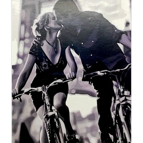 Картина по номерах "Велосипедний роман" 40х50 см фото