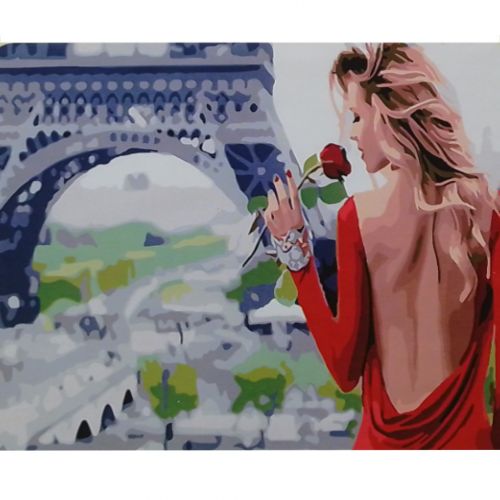 Картина по номерам "Романтика во Франции" 40х50 см фото
