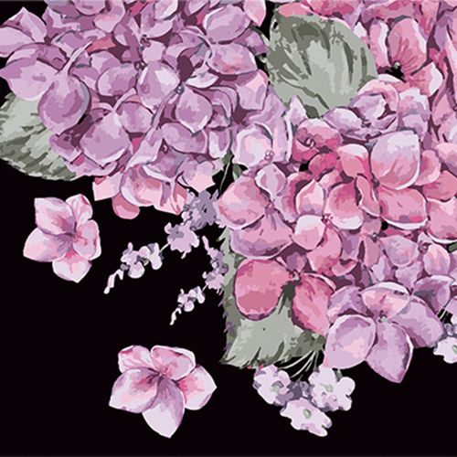 Картина за номерами на чорному фоні "Цвітіння гортензій", 40х40 см фото