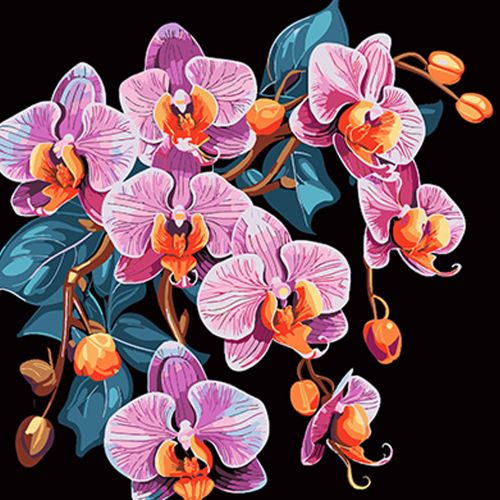 Картина за номерами на чорному фоні "Орхідея у вишуканості", 40х40 см фото