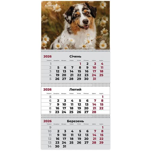 Календар настінний квартальний 2026 р. ,3 пр.  Dogs 1  мініатюра фото 1