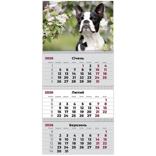 Календар настінний квартальний 2026 р. ,3 пр.  Dogs 2  мініатюра фото 1