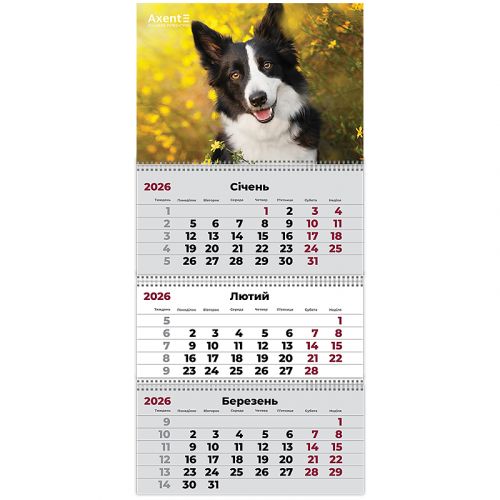 Календар настінний квартальний 2026 р. ,3 пр.  Dogs 3  мініатюра фото 1