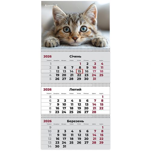 Календар настінний квартальний 2026 р. ,3 пр.  Cats 1  мініатюра фото 1