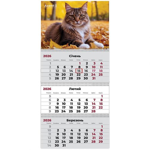 Календар настінний квартальний 2026 р. ,3 пр.  Cats 2  мініатюра фото 1