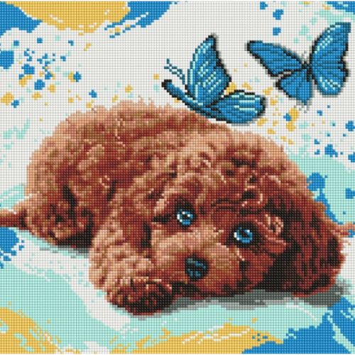 Алмазна мозаїка "Милий пудель" 40x40см мініатюра фото 1 Алмазна мозаїка "Милий пудель" 40x40см мініатюра фото 1