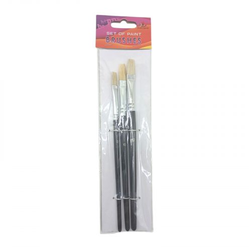 Набір пензлів для малювання,Щетина,розмір 8,10,12 3шт.в пакеті,плоска головка,деревʼяна ручка картинка Набір пензлів для малювання,Щетина,розмір 8,10,12 3шт.в пакеті,плоска головка,деревʼяна ручка фото