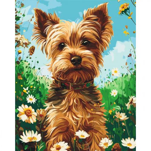 Уцінка.  Картина по номерах "Йоркширский терьер" 40х50 см - Пошкоджена слюда  мініатюра фото 1